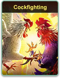 735deb7e-5204-436e-bc9f-cd4fa82fbbd1_web 735deb7e 5204 436e bc9f cd4fa82fbbd1 web